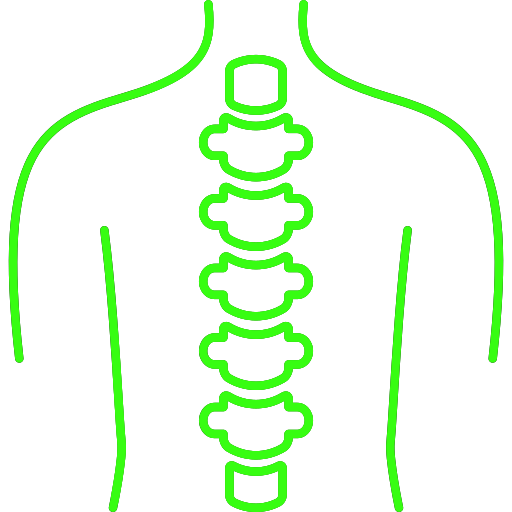 Colonna Vertebrale